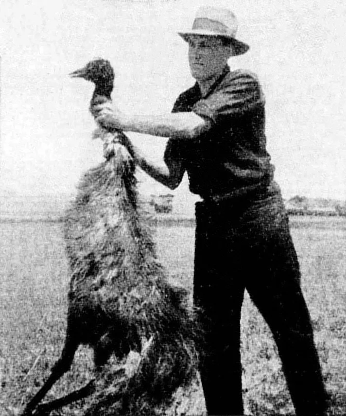 Australijski vojnik drži ustreljenog emua tokom pohoda 1932. godine